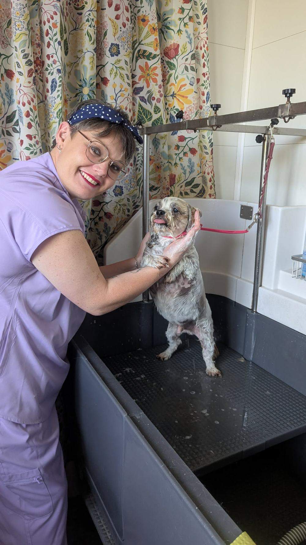 Bain tout en douceur pour chien